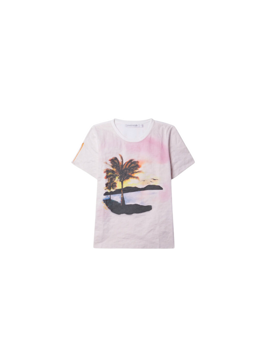 Lost Sourvenir Crushed Tee